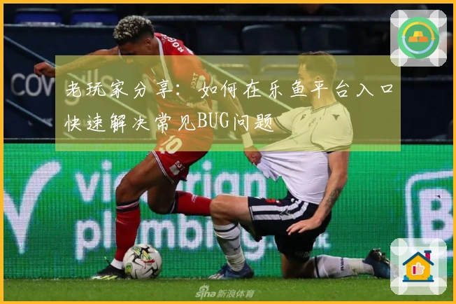 老玩家分享:如何在乐鱼平台入口快速解决常见BUG问题