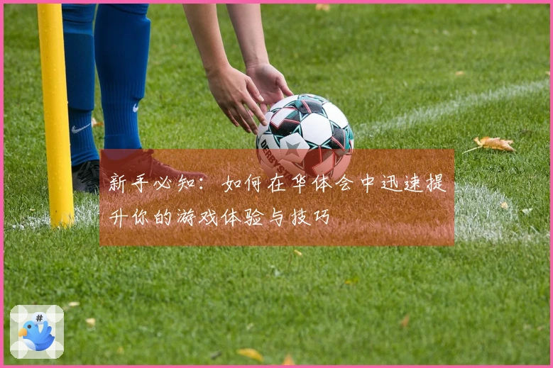 新手必知：如何在华体会中迅速提升你的游戏体验与技巧