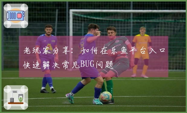 老玩家分享：如何在乐鱼平台入口快速解决常见BUG问题