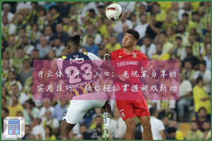 开云体育平台入口：老玩家分享的实用技巧，助你轻松掌握游戏新动态